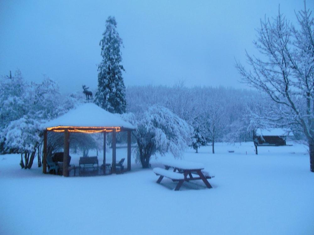 Clark Fork Lodge المظهر الخارجي الصورة