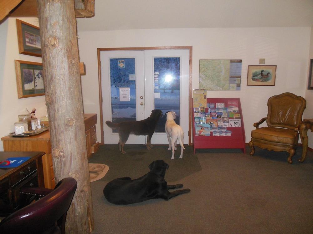 Clark Fork Lodge المظهر الخارجي الصورة